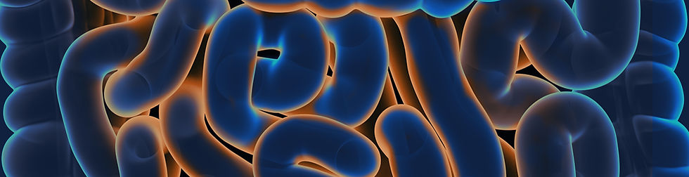 FMC-26-26_Wix Header_Blue Intestine_v1.jpg