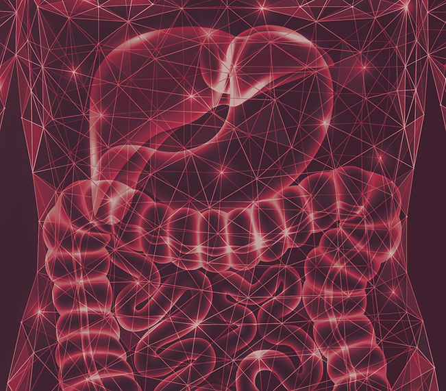 Background_v2.jpg