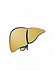 Ace Icon_v2.png