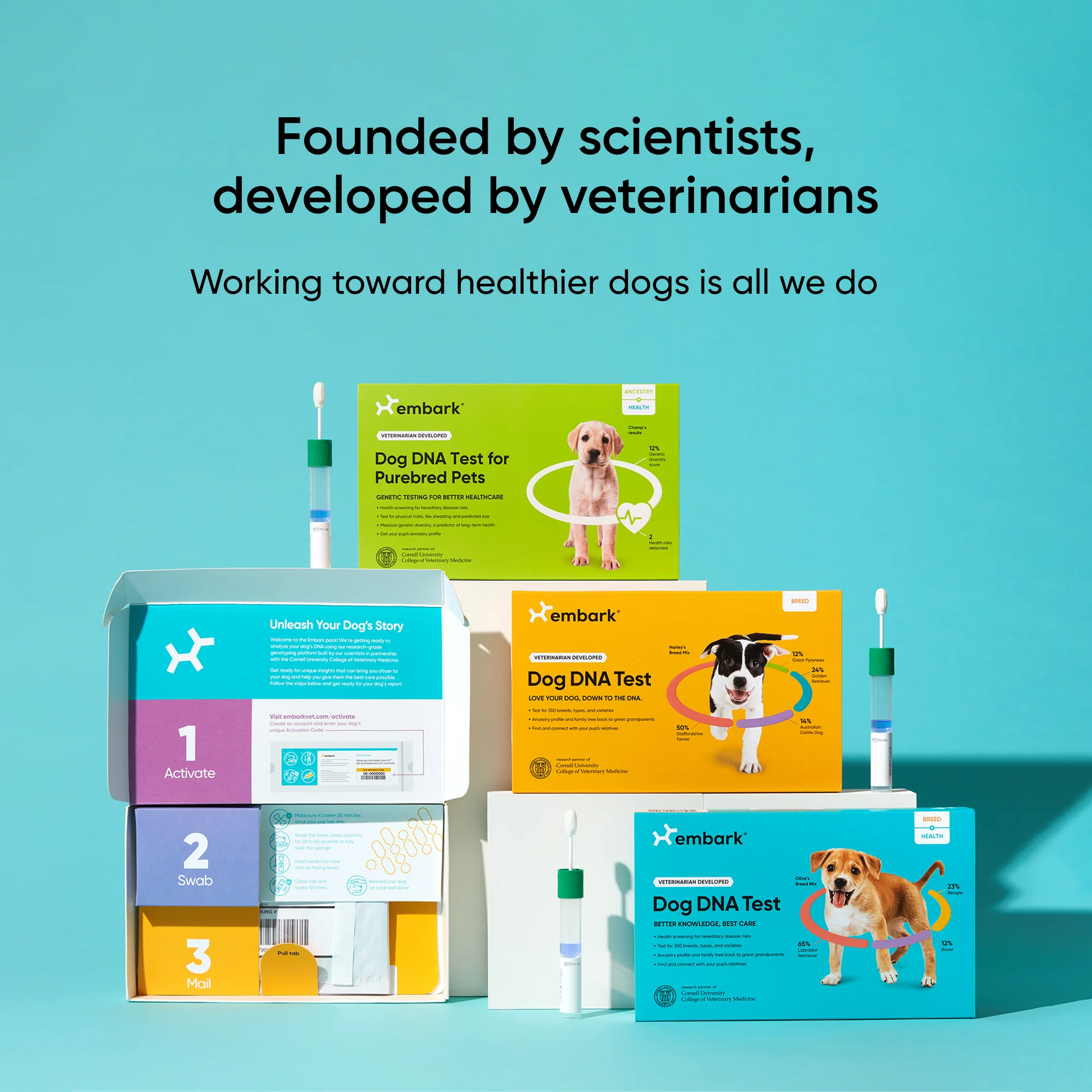 embarktestkit.webp