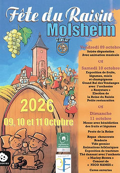 MOLSHEIM 10 10 26 01.jpg