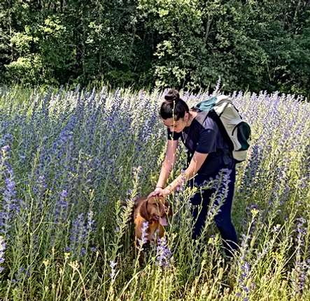 Capture d'écran_20221022_182923.png