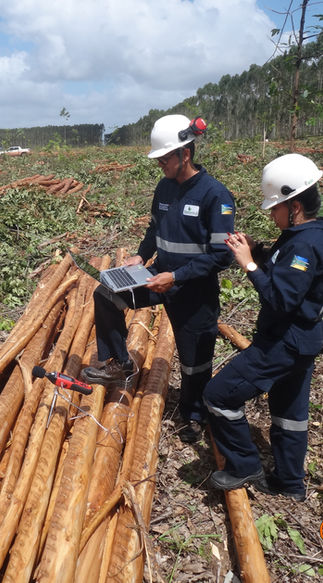 Ambiental Consultoria e Serviços segurança do trabalho meio ambiente