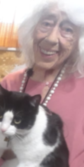 image-3.png