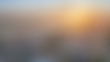 Enerji bağımsızlığında çatıların ve yerel yönetimlerin dönüştürücü rolü