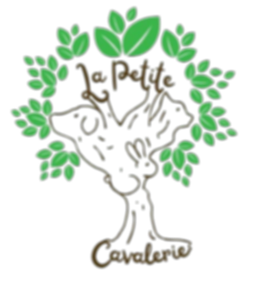 la petite cavalerie-Photoroom_edited.png