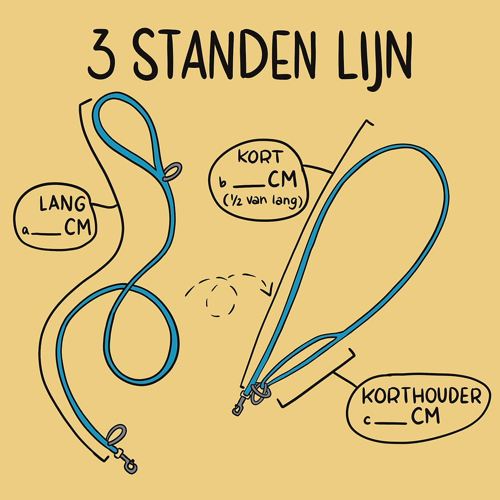 Thumbnail: 3-Standen-lijn Hond
