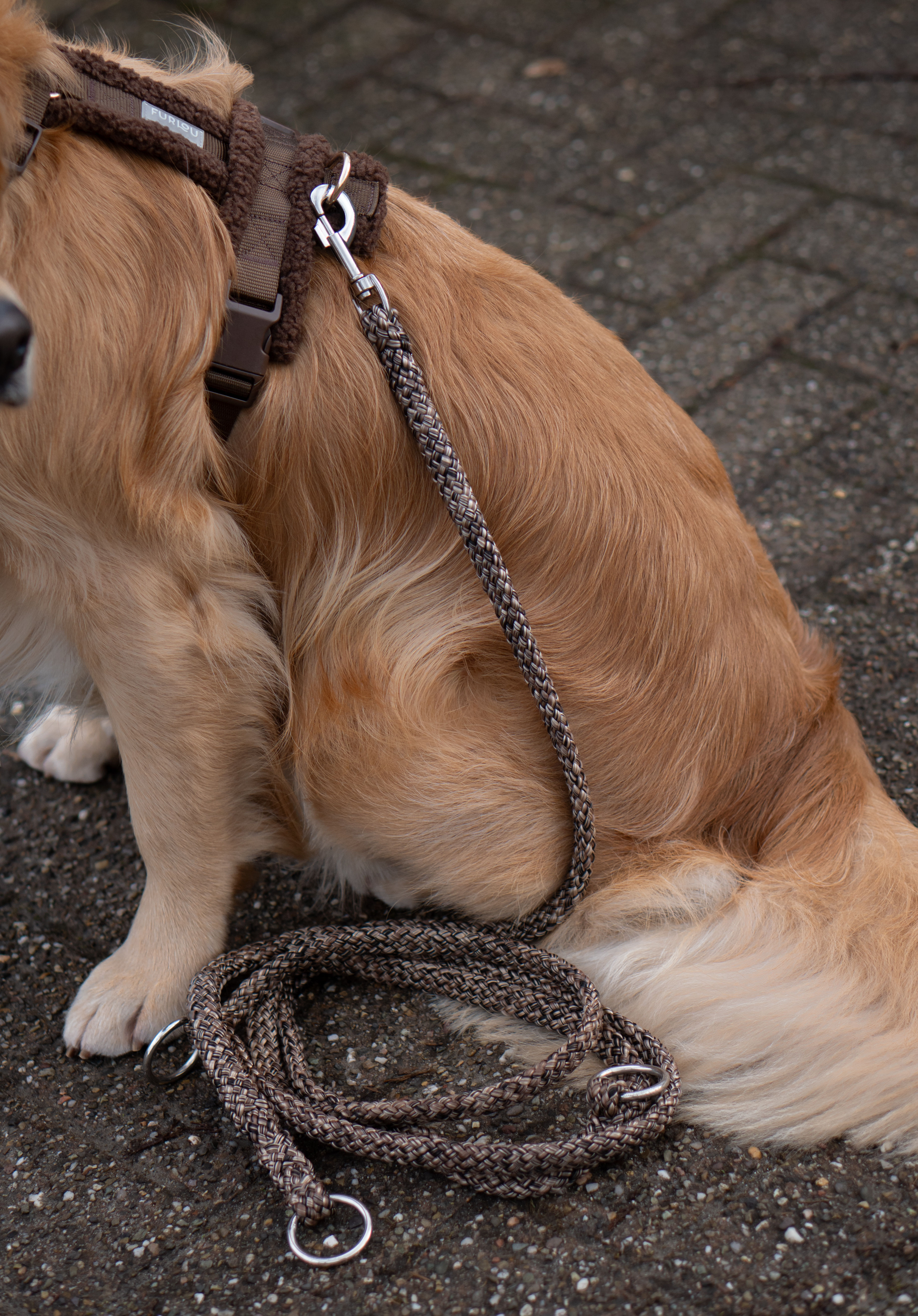 Lucky Leash lange lijn-deel