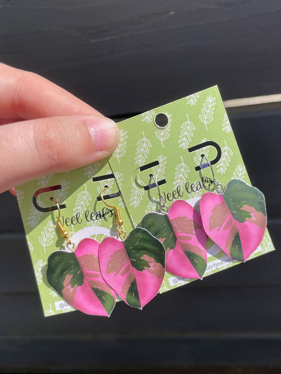 Thumbnail: Oorbellen Philodendron Pink Princess