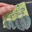 Thumbnail: Oorbellen Calathea Ornata