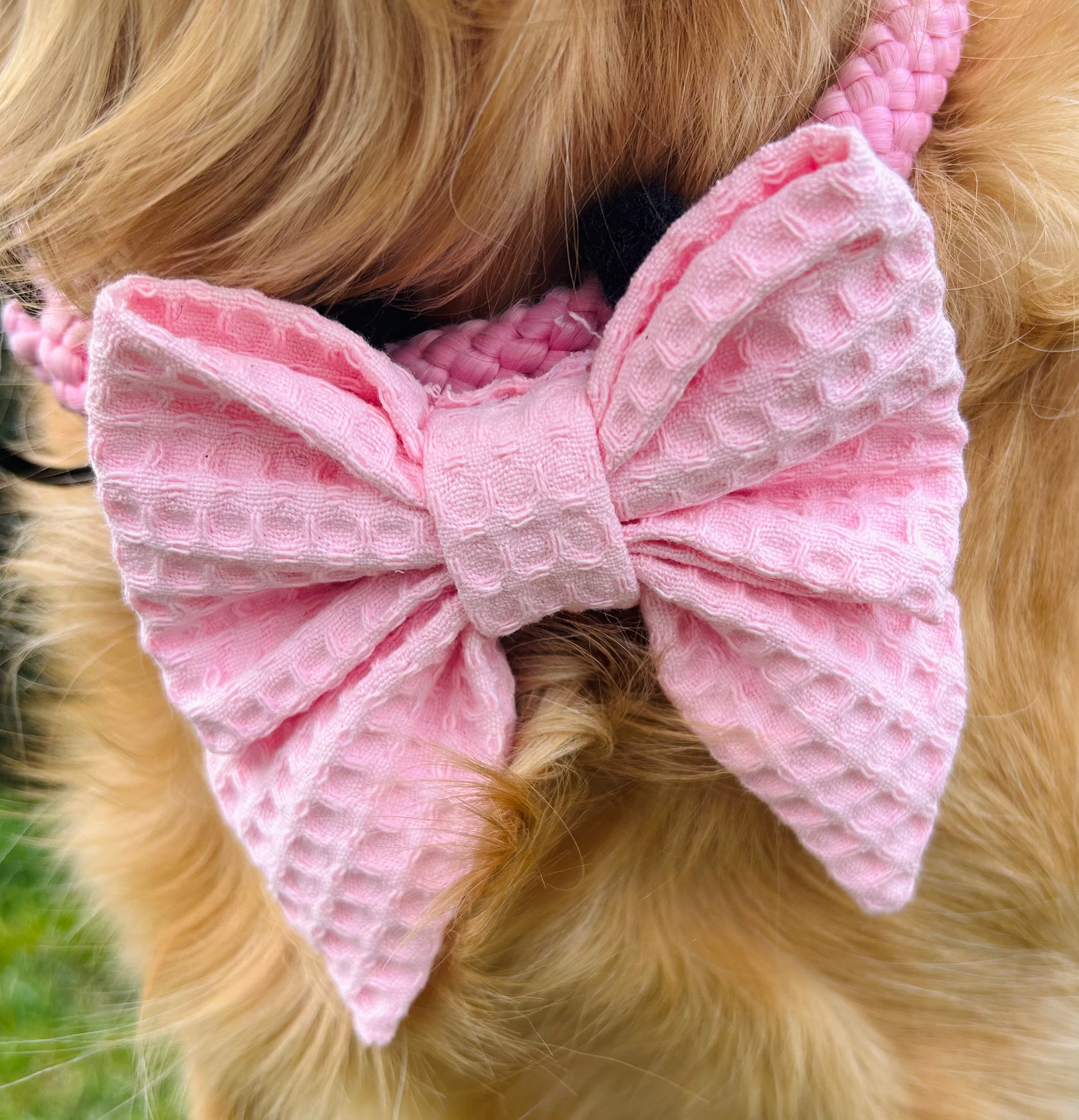 'Wafel Ballerina Roze' Hondenstrik