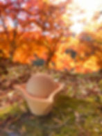 モイストボウル