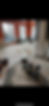 IMG_2031.PNG