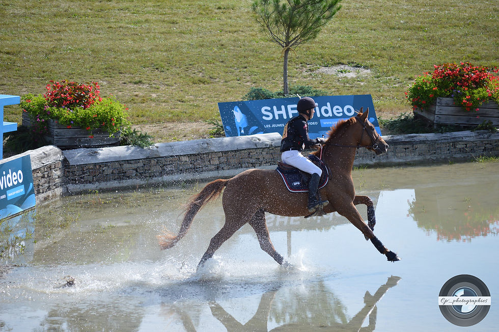 Finale Jeunes chevaux 2021