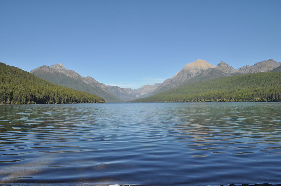 DSC_0963.JPG