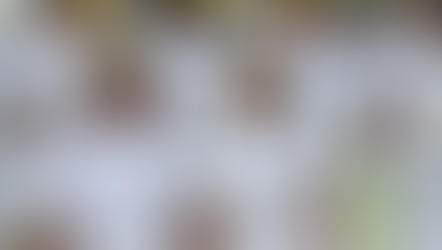 Colégio Naval 2026: O Guia Completo