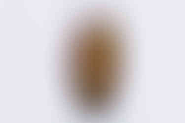 Cadre en laiton patiné conçu comme un socle tournant pour l’encadrement d'œuvres en résine de l’artiste plasticienne Catherine Desailles.