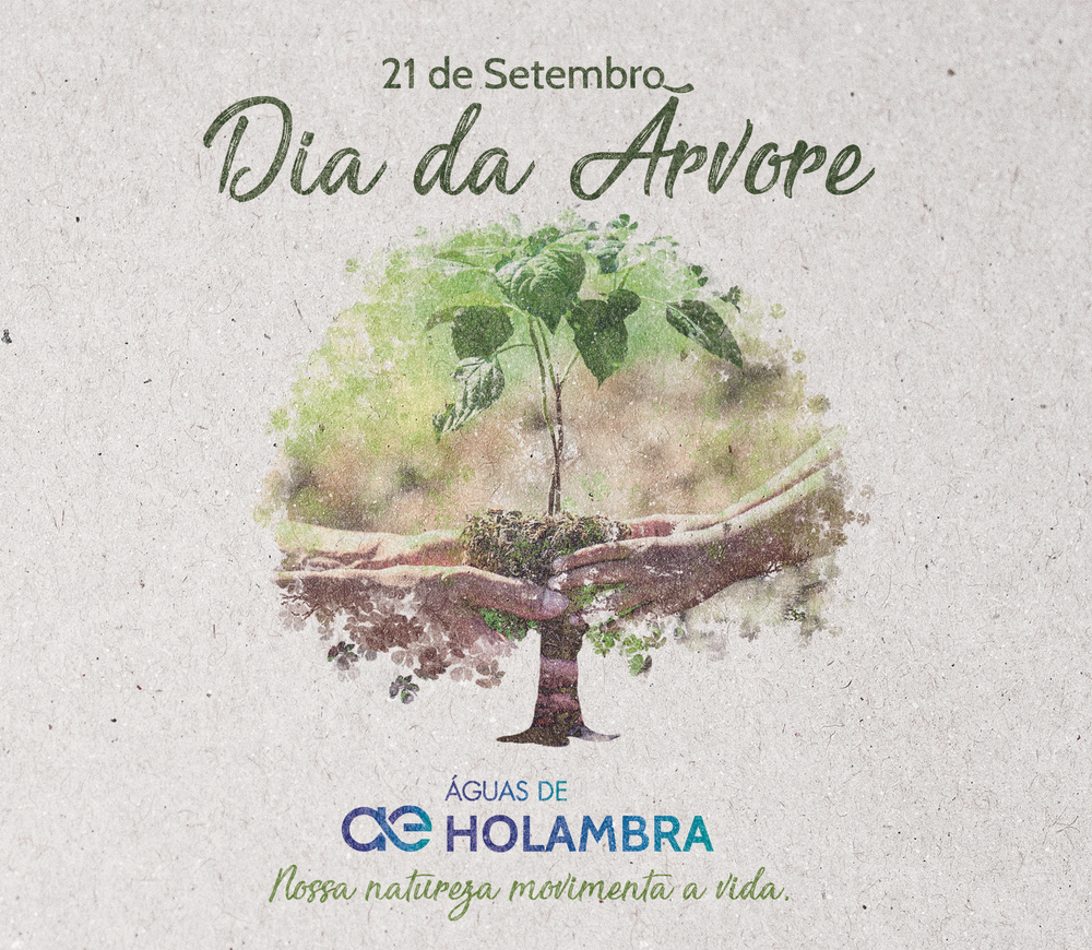 O Que Comemoramos No Dia 21 De Setembro
