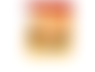 HINDENBURG POST SCRIPT .. the real issues