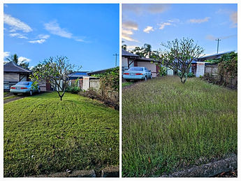20260612_070948-COLLAGE-EDIT (1).jpg