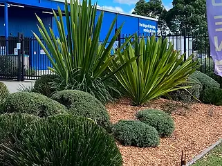 commercial-lawn-mowing-03.webp