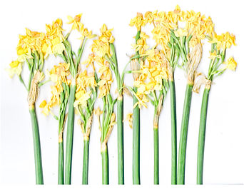 1x1 Ratio - Scan 58-01.jpg