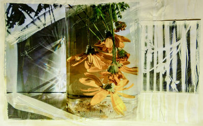 A mixed-media art collage on paper featuring delicate orange flowers suspended upside down in a glass container, partially submerged in water. The surrounding composition blends photographic elements with expressive brushstrokes of white paint, creating a layered and textured effect. Sunlight filters through the scene, casting prismatic reflections, while a faint silhouette of leaves and stripes adds depth and contrast. The artwork evokes a sense of quiet transformation, where nature, light, and decay intertwine.