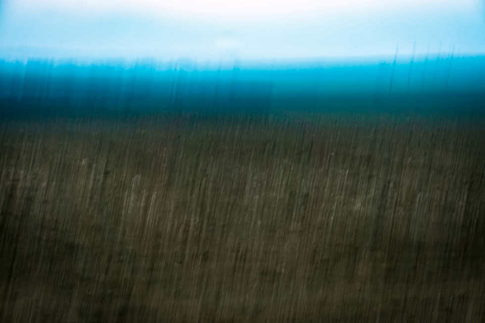 Long exposure landscape photograph with blurred vertical lines and soft blue horizon, an abstract fine art image that feels like painting with light.