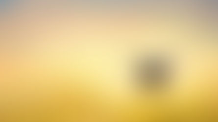 man in field