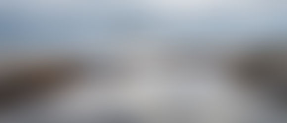 Buy or rent at the Art Gallery of Burlington's gallery shop!