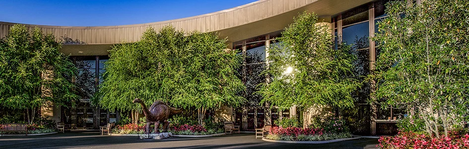 creation-museum-grand-plaza.webp