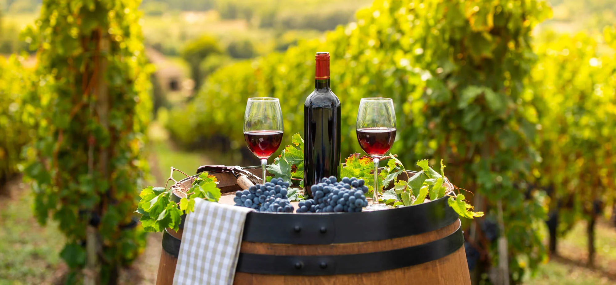 wine-featured.webp