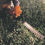 Thumbnail: HS 45 Petrol Hedge Trimmer