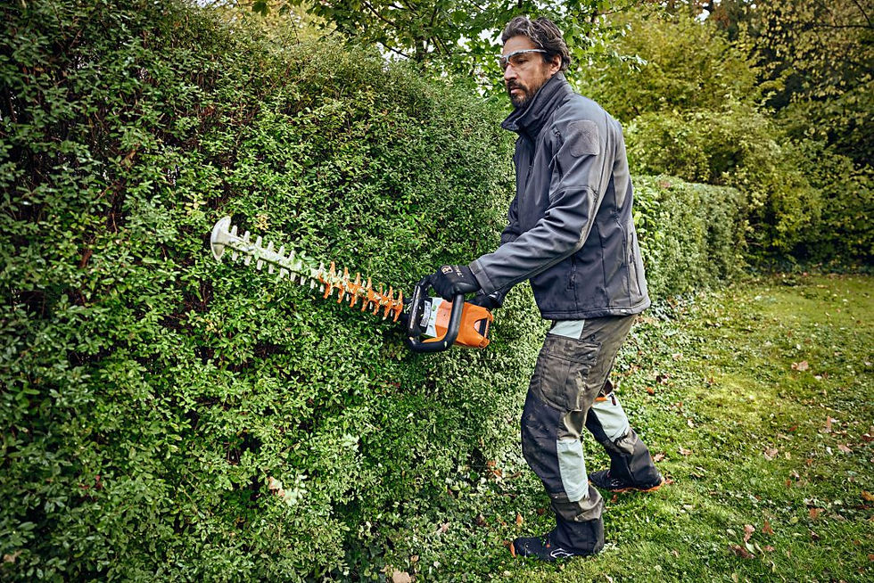 Thumbnail: HSA 100 Cordless Hedge Trimmer