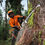 Thumbnail: MS 500i Chainsaw