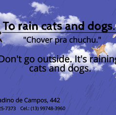 To rain cats and dogs.jpeg