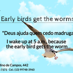Early birds get the worms.jpeg