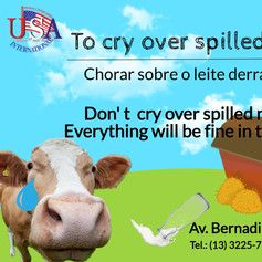 To cry over spilled milk