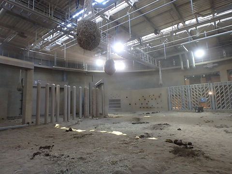 ZAS27-p8 (3).JPG