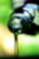 olive-850336_1280.jpg