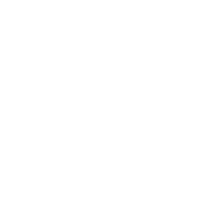 iMEDIA logo transparent (white).png