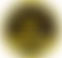 On March 19, the Arizona State Parks Board voted to approve eight Fiscal Year 2026 Heritage Fund Historic Preservation grants totaling $453,130 – funding that will protect and stabilize some of the most significant historic structures in the state.