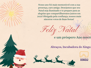 Feliz Natal e um próspero Ano Novo!