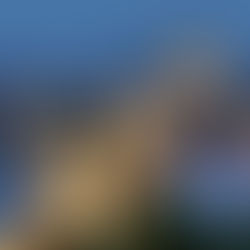 מרקש בלב בודפשט: חגיגה קולינרית שמביאה את המלך של מרוקו לשולחן