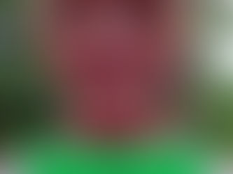 Gesundheit mit gesundem Menschverstand