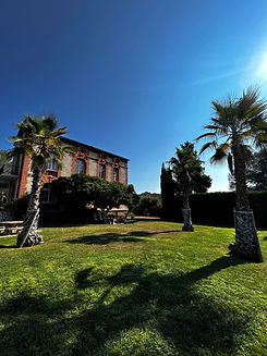 Jardin, Palmier, Château