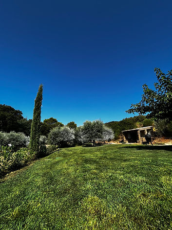 Jardin, Olivier, Cabane