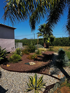 IMG-8558.jpg