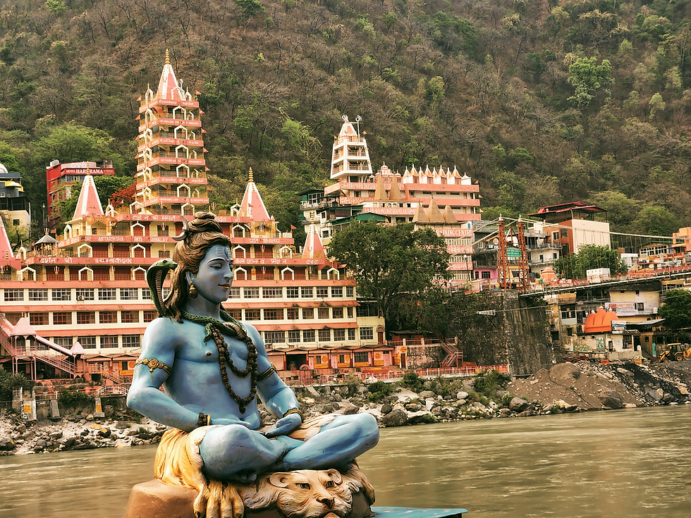 Image by Naitek Bhardwaj