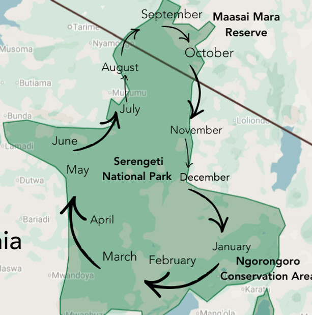 Body (1)_edited_edited_edited.jpg